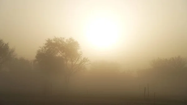 Krachtige zandstormen met krachtige wind. Dramatische stoffige zandstorm die zand en vuil door savanne blaast. — Stockfoto