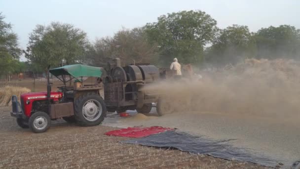 Paja de cáscara de trigo soplando en el campo con una máquina trilladora. Primer plano de la máquina trituradora con un tractor. — Vídeo de stock