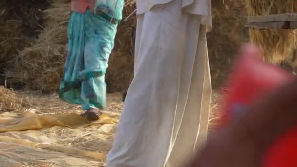 여성 노동자들은 슬리퍼와 부츠를 신고 농사를 짓느라 분주하다. 다리를 감는 여자들. — 비디오
