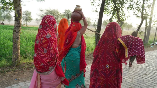 Backside Shot Hindu Women Traditional Cultured Saree One Woman Holding — Stock Photo, Image