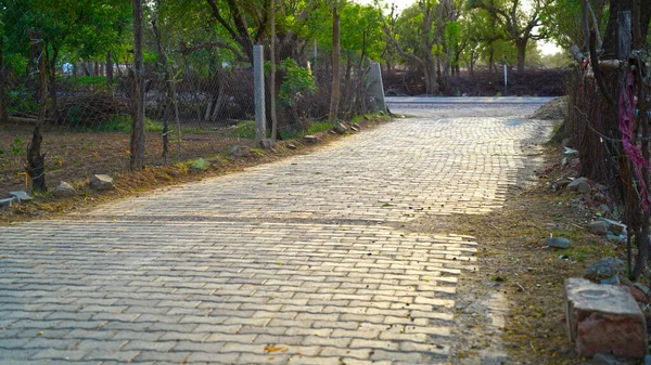 Pavimentación Concreto Cemento Losas Parque Los Albañiles Profesionales Están Instalando — Foto de Stock