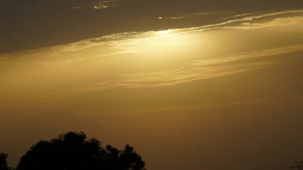 Foto Noite Tardia Tiro Com Profundidade Rasa Campo Pôr Sol — Fotografia de Stock