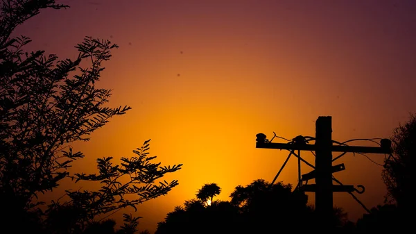 Superbe Coucher Soleil Orange Sur Poteau Électrique Les Arbres Coucher — Photo