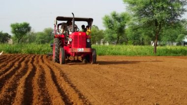 Tarladaki Sorghum çiftliği. Millet veya Sorghum tohumlarını traktörle tohumlayan Hintli çiftçi. Karargah görüntüleri.