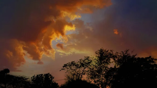 Час Заходу Сонця Візерунком Золотих Хмар Фоном Великих Дерев Темрява — стокове фото