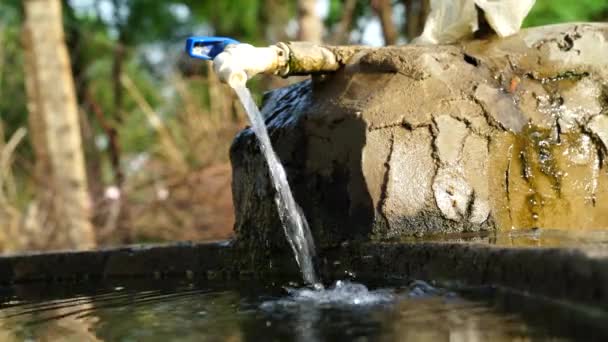 Léto, Vylévání vody ve zvířecím jezírku. Extrémní proudy vody padající do zvířecího rybníka. — Stock video