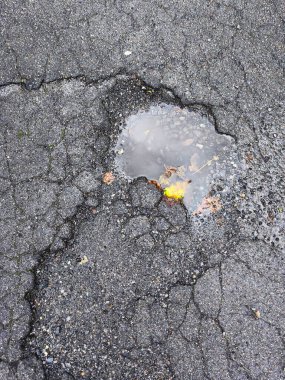 Çukurlu, çatlak ve hasarlı asfalt manzarası çökmüş sonbahar yapraklarıyla çevrili engebeli dokuyu ve suyu gösteriyor. Kentsel ve dokuya odaklı sahneler için mükemmel.