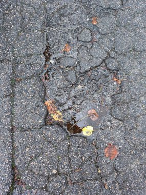 Dağınık sonbahar yapraklarıyla çevrili sert yüzey dokusunu ve su yansımalarını vurgulayan bir çukurla ıslak asfalt yakın plan. Şehir, doku ve mevsimlik sahneler için idealdir..