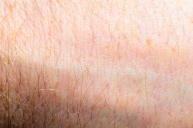 Bu makro çekim, saç ve gözenekler de dahil olmak üzere insan derisinin karmaşık desenlerini ve dokularını gözler önüne seriyor.