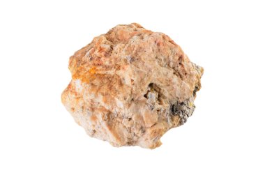 Kaba, desenli bir kaya oluşumunun beyaz arka plana yakın plan görüntüsü.