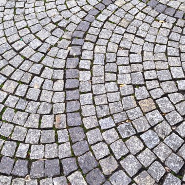 Kare kaldırım taşı, kiremitler arasında büyüyen çimenler, doku arkaplanı