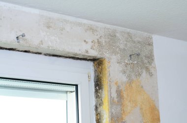 Pencere çerçevesinin yakınındaki duvarda küf ve su hasarı yapısal sorunları gösteriyor