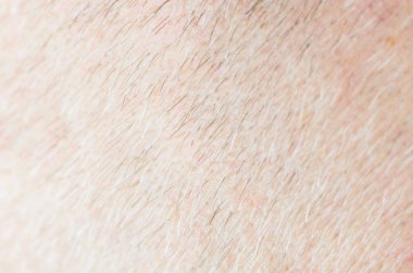 İnce, açık renkli saçlarla insan derisinin son derece yakın çekim makrosu.