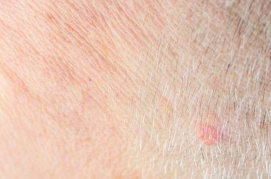 İnce kırışıklıklar ve beyaz saçlarla yaşlanmış insan deri dokusunun aşırı yakın çekim makrosu.