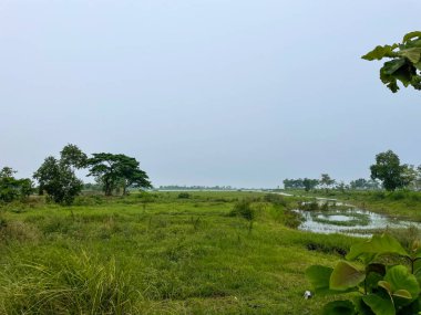 Bereketli yeşil alanların genişliği doğanın güzelliğini sembolize eder.