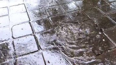 Paving Arkaplanı ile Tropikal Bahçeye Sağanak Yağmurlu Yağmurweather forecast