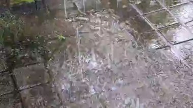 Paving Arkaplanı ile Tropikal Bahçeye Sağanak Yağmurlu Yağmurweather forecast