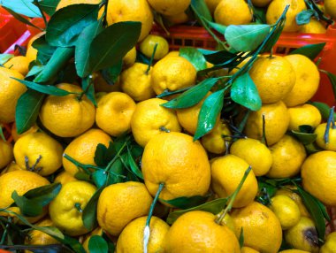 Yeşil Yapraklı Taze Sarı Portakallar Sepette