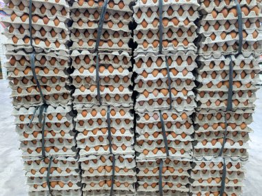 Geri dönüşümlü karton kutularda düzgünce paketlenmiş yumurta yığınları.