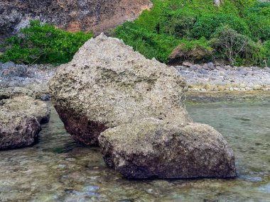 Büyük gözenekli kayalar sığ sularda güneşli bir günde yeşil ağaçların zemininde uzanır..