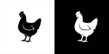 Siyah ve beyaz tavuk siluetleri beyaz ve siyah arka planlarda izole edilmiş.