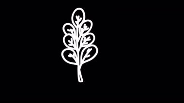 Modern tasarım estetiği için siyah arkaplan ideali üzerine basit beyaz botanik çizimi.