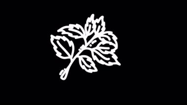 Doğanın güzelliğini gözler önüne seren siyah bir arka plana karşı bir yaprak dalının ayrıntılı bir çizimi.