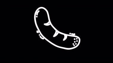 Siyah arkaplandaki çizgi film sosislerinin neşeli mutfak havasını çağrıştıran tuhaf bir çizimi.