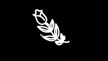 Siyah arkaplanı olan beyaz tüy