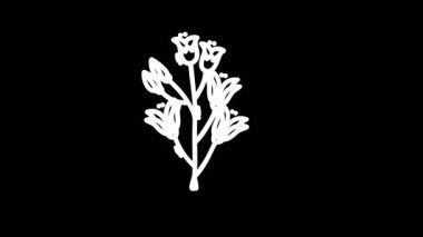 Yapraklı çiçek, siyah beyaz siluet