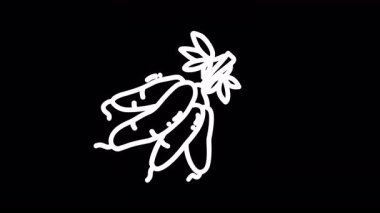 Sağlıklı gıda kavramları için ideal siyah arka planda yaprakları olan taze bezelye tasviri