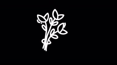 Tasarım için uygun siyah arka planda yaprakları olan biçimlendirilmiş bir bitkinin minimalist çizimi