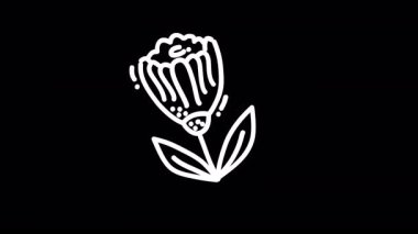 Modern dekor ya da tasarım kullanımı için mükemmel bir siyah arkaplan üzerindeki minimalist beyaz çiçek çizimi