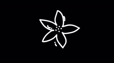 Siyah arkaplan üzerindeki minimalist beyaz çiçek çizimi sadelik ve zarafet gösteriyor