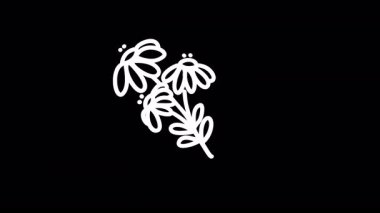 Dijital tasarım projeleri için siyah bir arkaplan üzerindeki çiçeklerin basit el çizimi çizimi