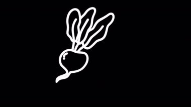 Gıda grafikleri için uygun siyah arkaplan üzerinde yeşil yaprakları olan beyaz bir turpun basit bir çizimi