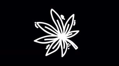 Zarif beyaz yaprak silueti karalamaları, siyah arkaplanda kusursuz döngü animasyonu, doğa temalı tasarımlar ve grafikler için ideal.