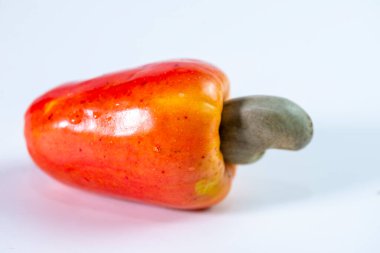 Beyaz arka planda taze kaju.