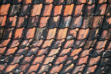 Ağır yıpranmış toprak ve küfleri gösteren kırmızı kil kiremitlerin yakın çekimi. Arkaplan ve mimari detaylar için uygun kırsal ve organik bir tekrarlama deseni.