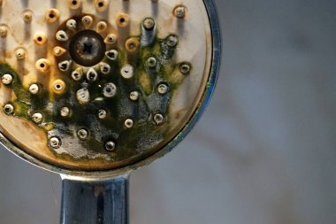 Şiddetli su ve temizlik eksikliği nedeniyle yoğun kireçlenme, pas ve yeşil küfle kaplı ihmal edilmiş bir duş başlığının aşırı yakın çekimi. Kötü hijyen kavramı.