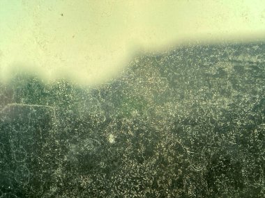 Su kalıntısı, toprak parçacıkları ve soluk kabarcık izleriyle koyu soyut grunge dokusu organik bir arkaplan oluşturuyor..