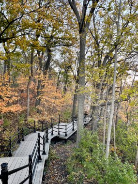 Elevated wooden walkway through forested park with fall foliage in Montreal.