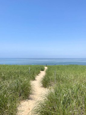 Pathway of soft sand winding between tall beach grass toward the blue sea.