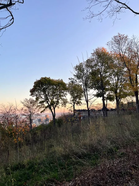 Colorful fall trees in Montreal park silhouetted against a soft sunset sky.