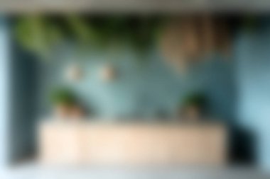 Minimalist tasarım elementleri, ahşap dolaplar ve yatıştırıcı mavi bir duvara karşı yemyeşil bitkiler içeren huzurlu bir mutfak alanı keşfedin..