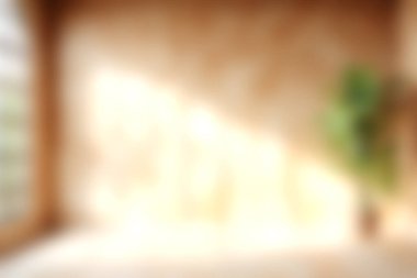 Bu yumuşak odaklı görüntü, doğal ışık tarafından aydınlatılan, yeşil bir bitki tarafından geliştirilen, dinlenmek için sakin ve davetkar bir atmosfer yaratan parlak bir kapalı alan içeriyor..