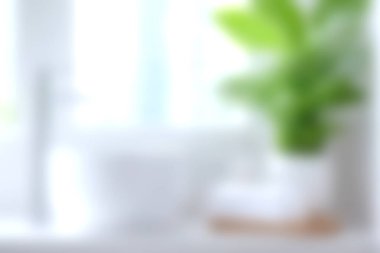 Doğal ışıkla yıkanmış yemyeşil bir bitkinin olduğu sakin bir mutfak sahnesi. Minimalist düzenleme ev dekorasyonu için mükemmel bir ortam yaratıyor..