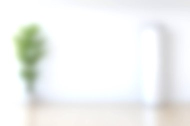 Yumuşak beyaz bir duvara karşı canlı yeşil bir bitki barındıran, minimalizm ve sükuneti somutlaştıran sakin bir iç mekan. Ev dekorasyonu için mükemmel..