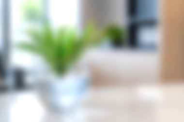 Kapalı alan bitkisinin huzurlu görüntüsü modern ev dekoruna biraz doğa katar. Yumuşak ışık uzayın sakinleştirici atmosferini arttırır..