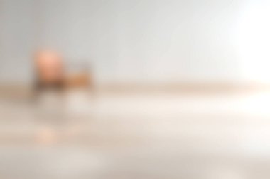 Bu resim, modern minimalist mobilyalara, parlak bir iç mekanda, sükunet ve stil sadeliği hissi yaratarak yumuşak bir odak noktası oluşturuyor..